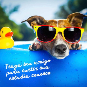 Cachorro curtindo um dia de sol com Ã³culos de sol, deitado em uma bÃ³ia de piscina com um pato de borracha ao lado, relaxado e tranquilo