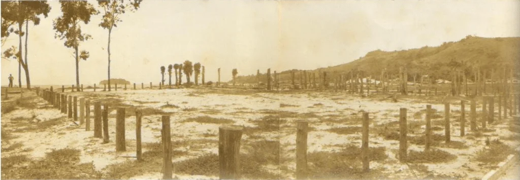 praia de jurerê antes da urbanização.