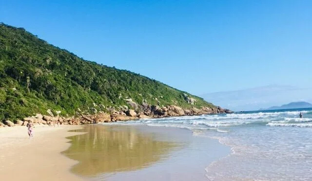 praia dos ingleses em Florianópolis