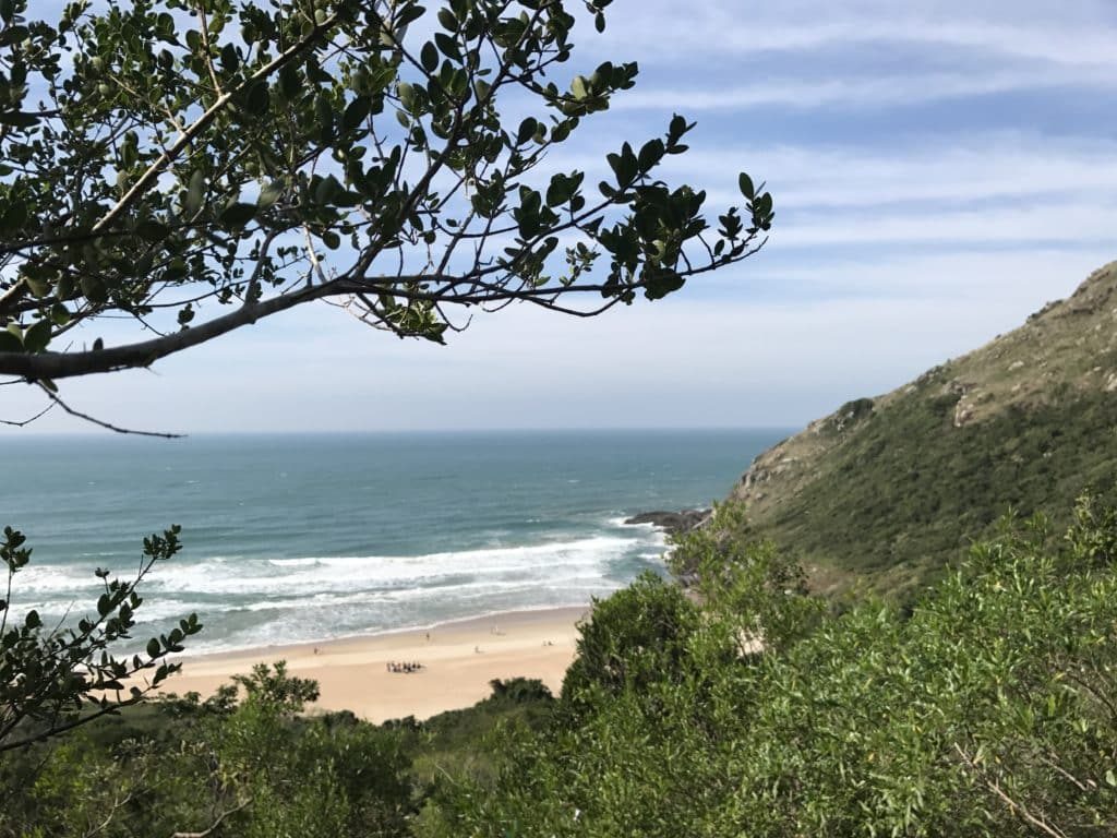 imagem-trilha-praia-lagoinha-do-leste-florianopolis